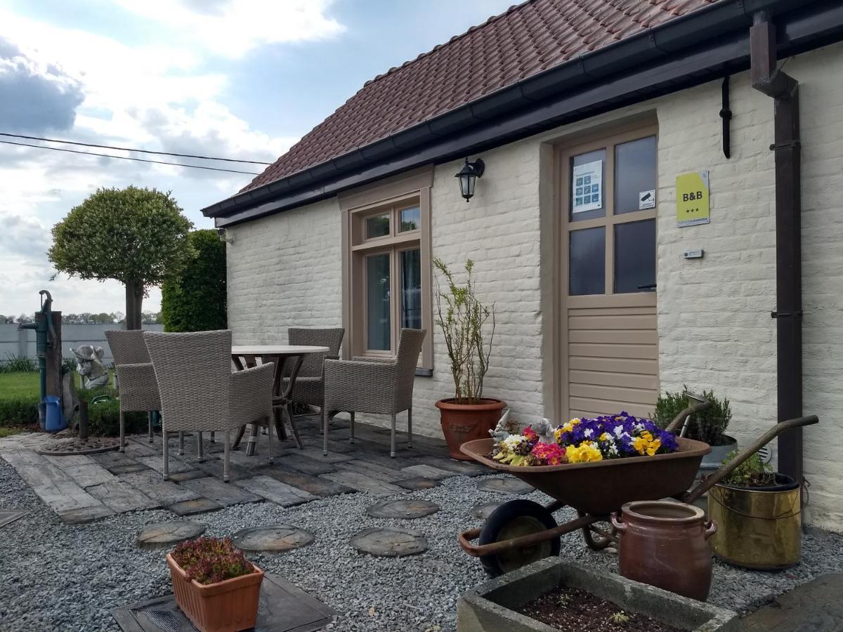 Dhofstede Vakantiewoning Oudenaarde Exterior photo